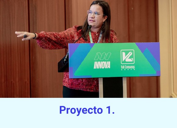 Proyecto 1