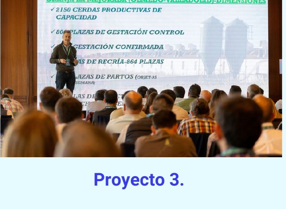 Proyecto 3